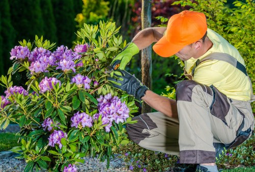 Seasonal hedge trimming in Hoxton