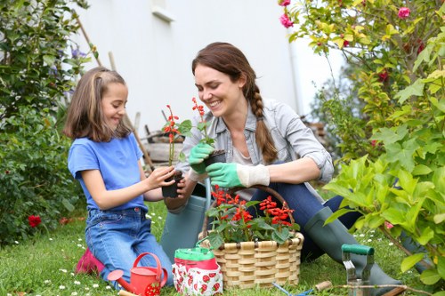 Professional lawn mowing service in Hoxton