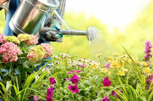 Variety of native and drought-resistant plants ideal for Hoxton landscaping