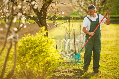 Various garden hedges being trimmed