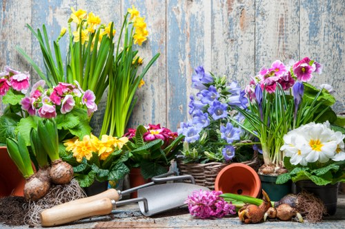 Eco-friendly garden waste disposal in Hoxton